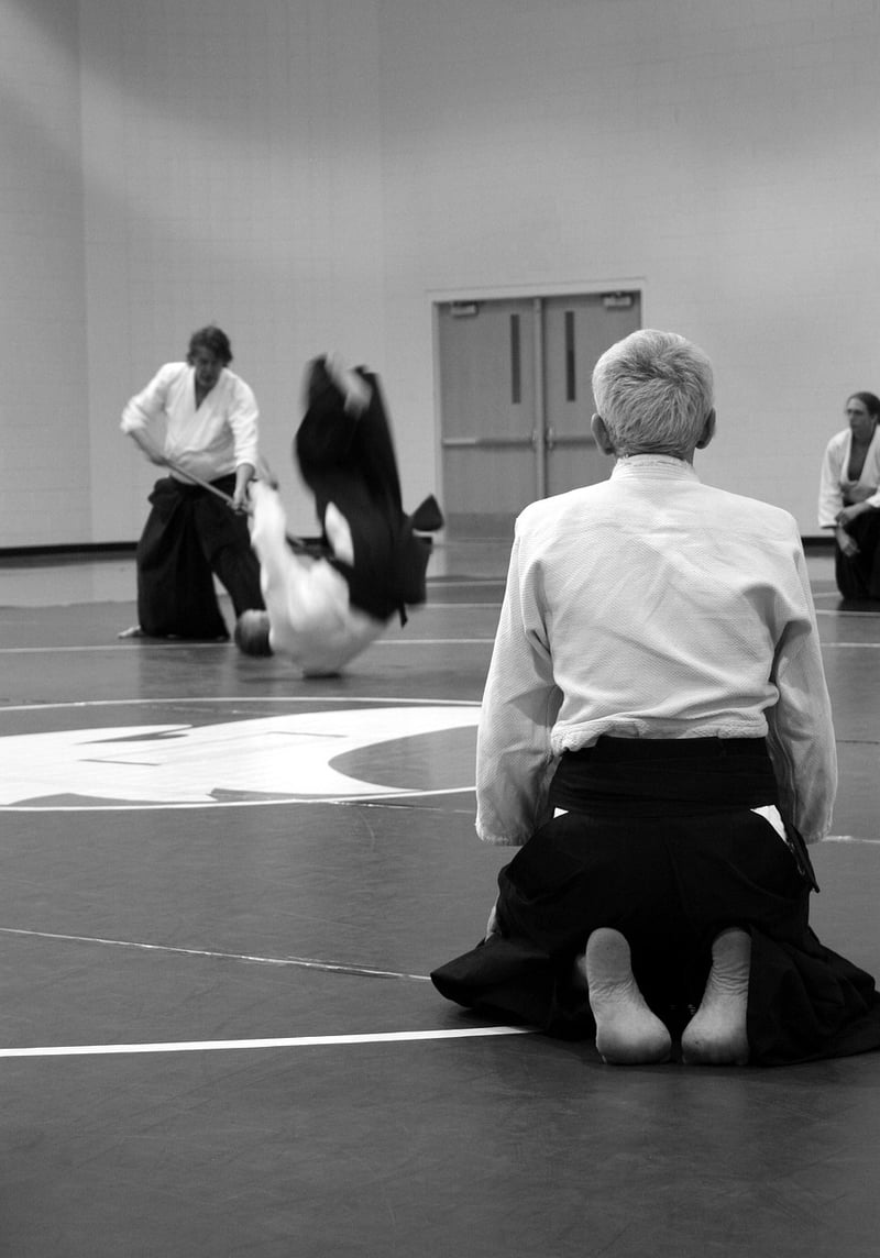 Aikido Martial Arts